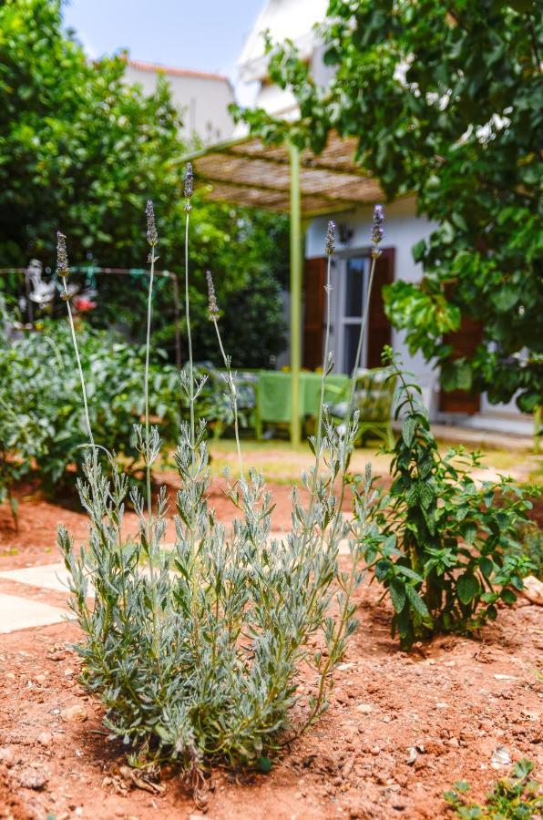 הרסוניסוס Gaia Residence מראה חיצוני תמונה
