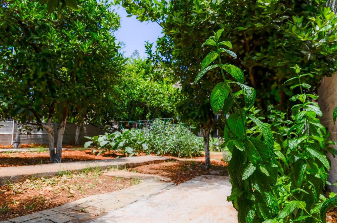 הרסוניסוס Gaia Residence מראה חיצוני תמונה